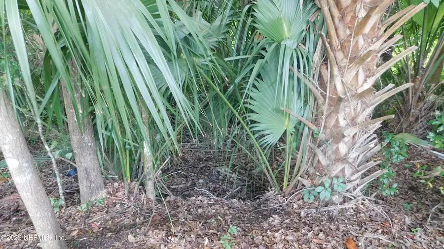 0 Mccowan Drive, Jacksonville, FL 32244 - Image #2