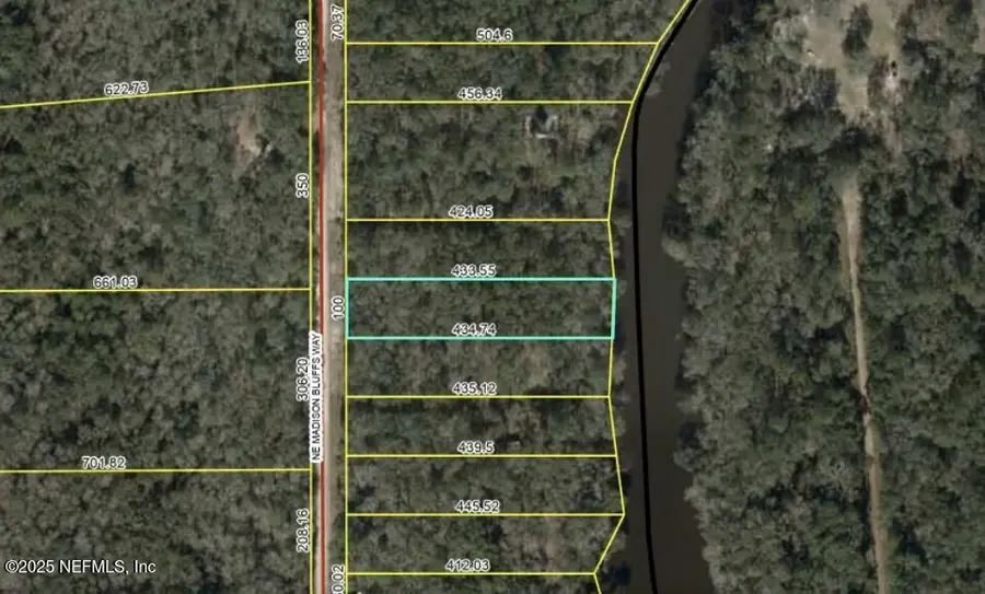 LOT 12 NE Madison Bluffs Way, Lee, FL 32059 - Image #3