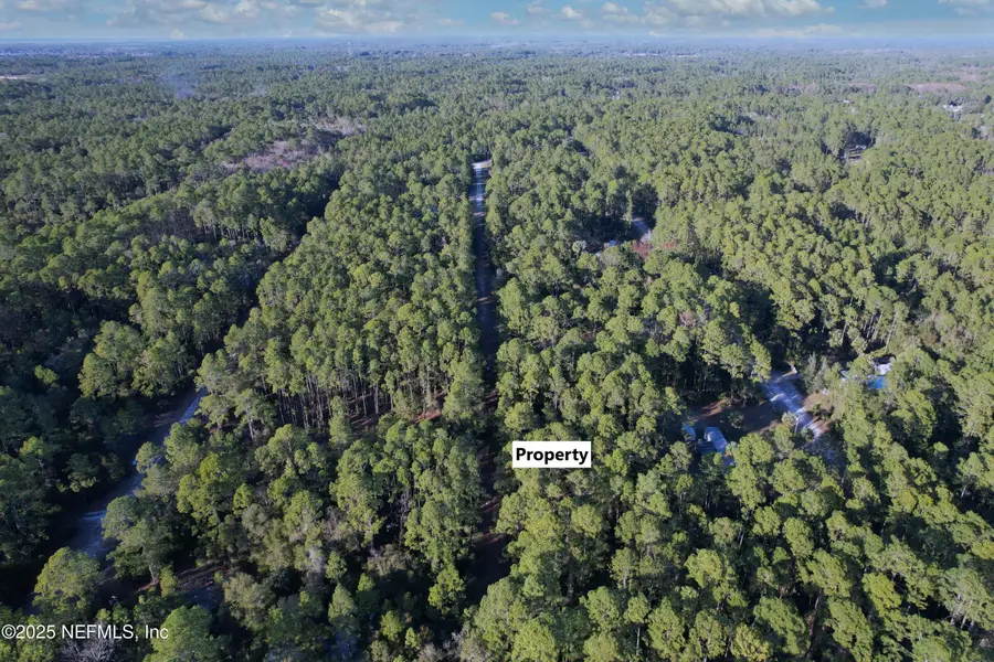 138/ 140 Heathton Street, Georgetown, FL 32139 - Image #3