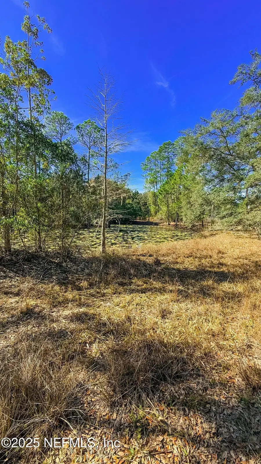 0 Carteret Road, Georgetown, FL 32139 - Image #2