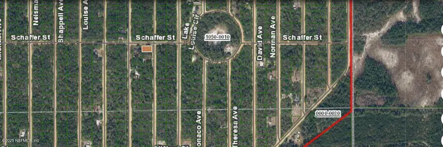 0000000 Neilsen Avenue, Interlachen, FL 32148 - Image #2