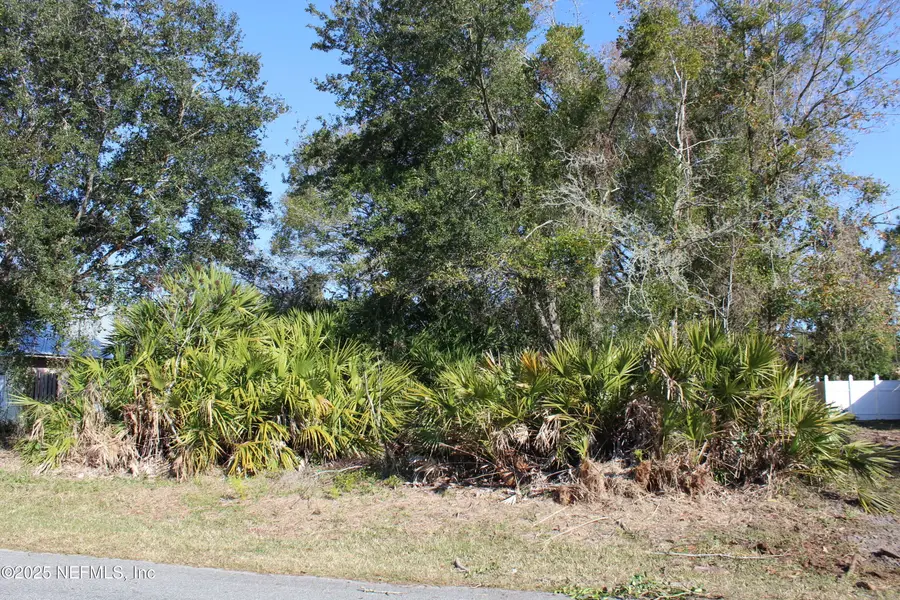 33 Louisville Drive, Palm Coast, FL 32137 - Image #2
