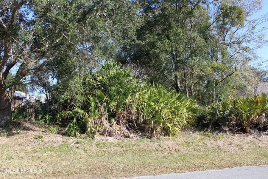 33 Louisville Drive, Palm Coast, FL 32137 - Image #3