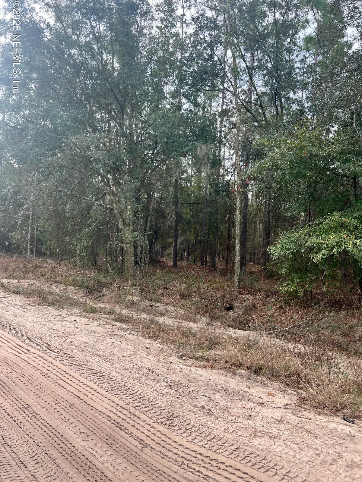 5855 Campo Drive, Keystone Heights, FL 32656 - #1