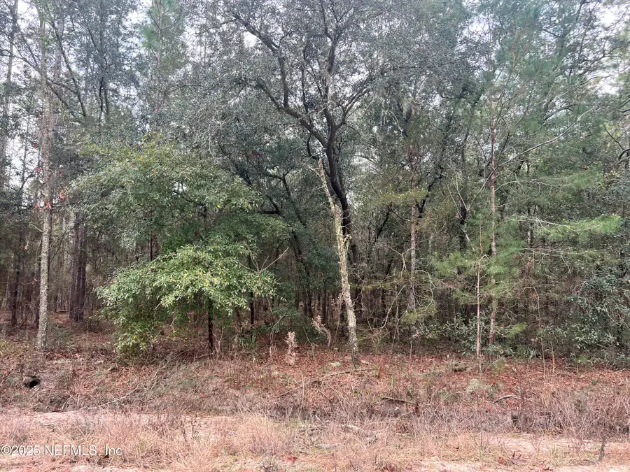 5855 Campo Drive, Keystone Heights, FL 32656 - #2