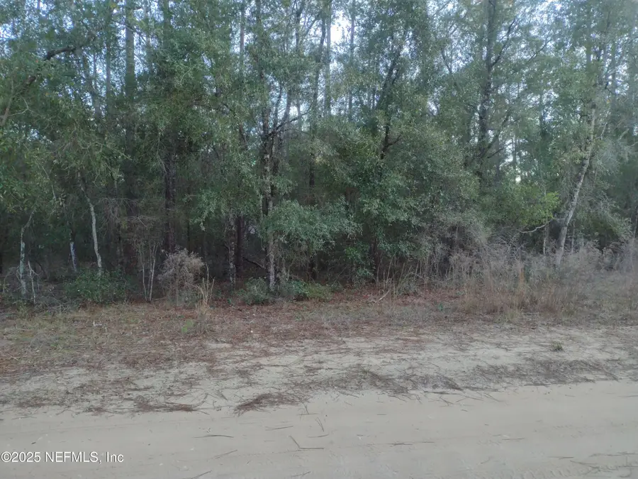 89 Tucker Lake Road, Melrose, FL 32666 - #3