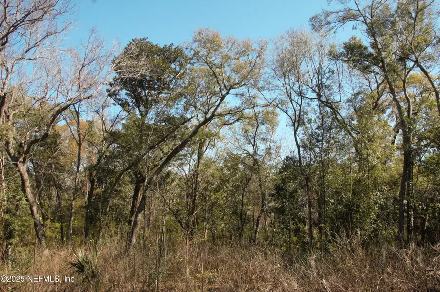 1891 Holly Oaks Ravine Drive, Jacksonville, FL 32225 - Image #3