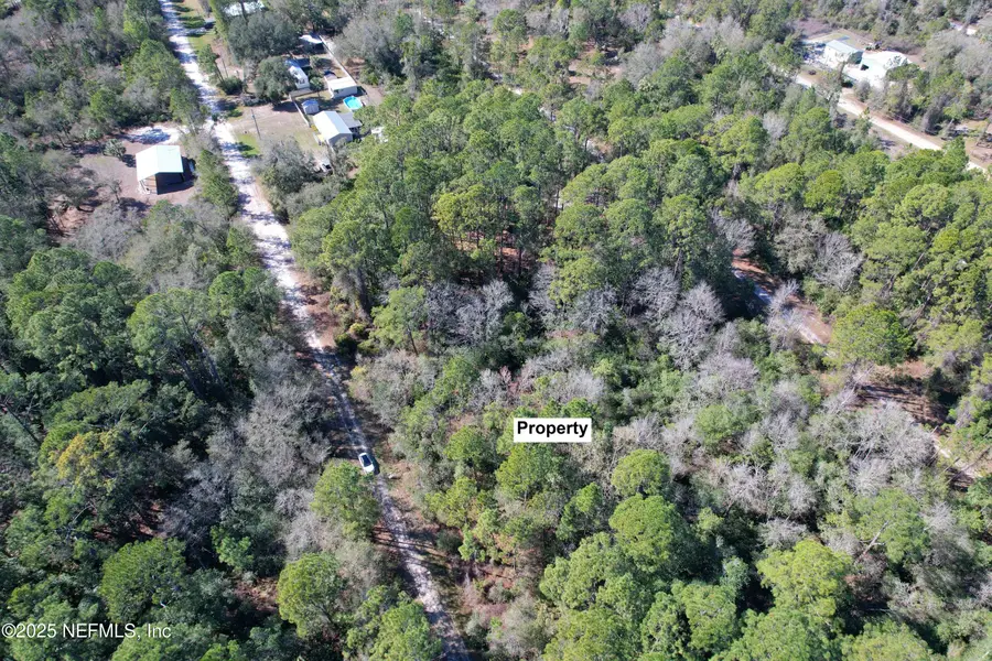324 Palm Way, Georgetown, FL 32139 - Image #2