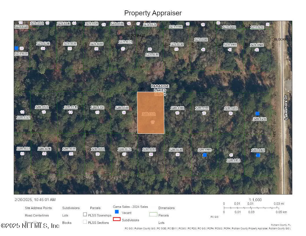 333 Laisy Drive, Georgetown, FL 32139 - Image #1