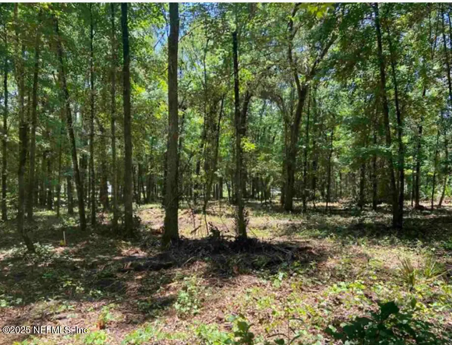 4810 Noel Street, Hastings, FL 32145 - Image #1