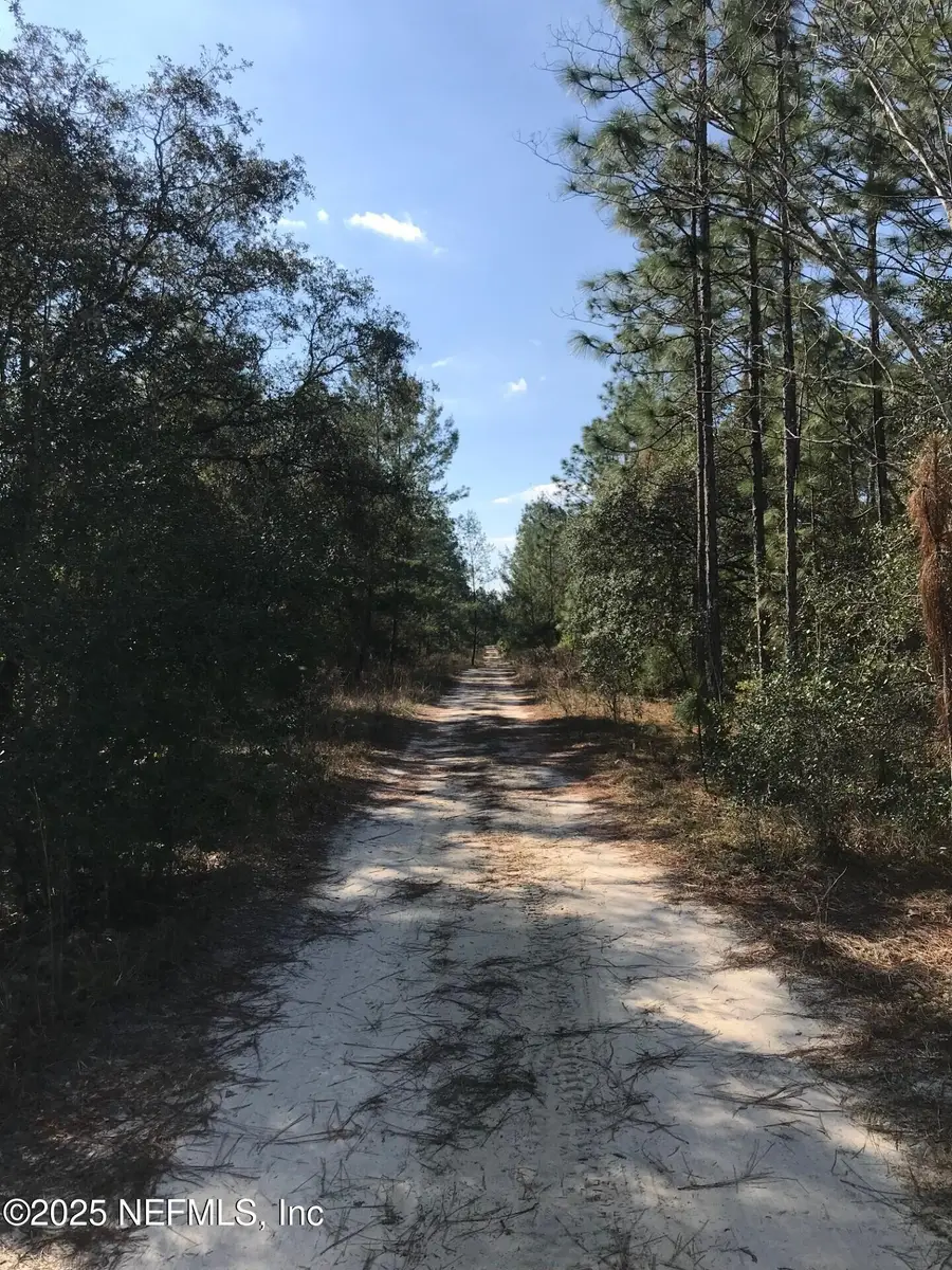 404 Mourning Dove Road, Satsuma, FL 32189 - Image #3