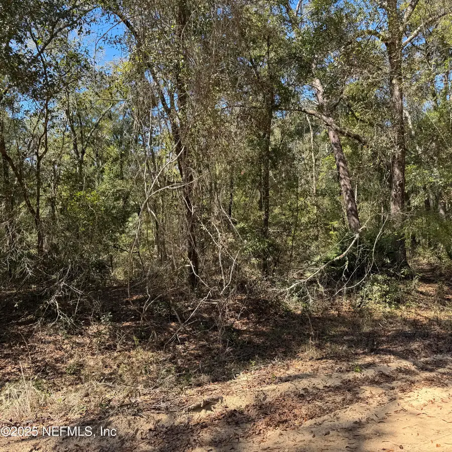 00 Brett Avenue, Interlachen, FL 32148 - #3