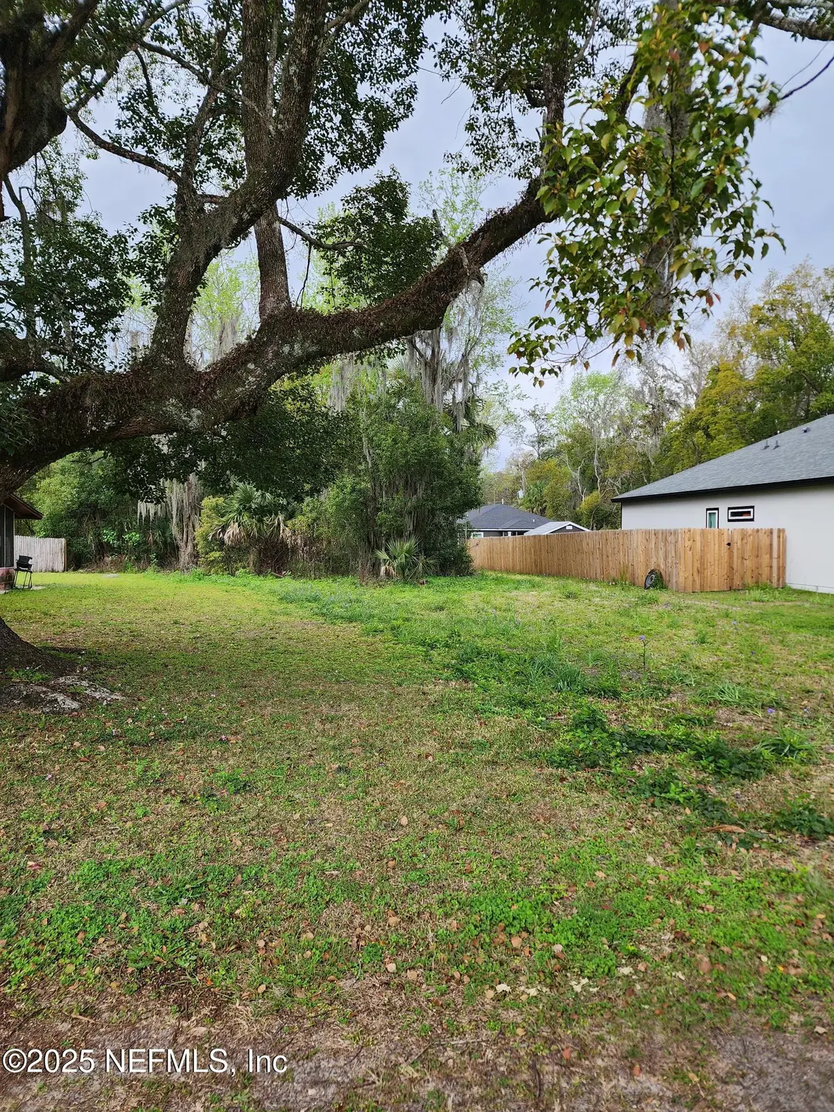 579 Pine Avenue, Green Cove Springs, FL 32043 - Image #1