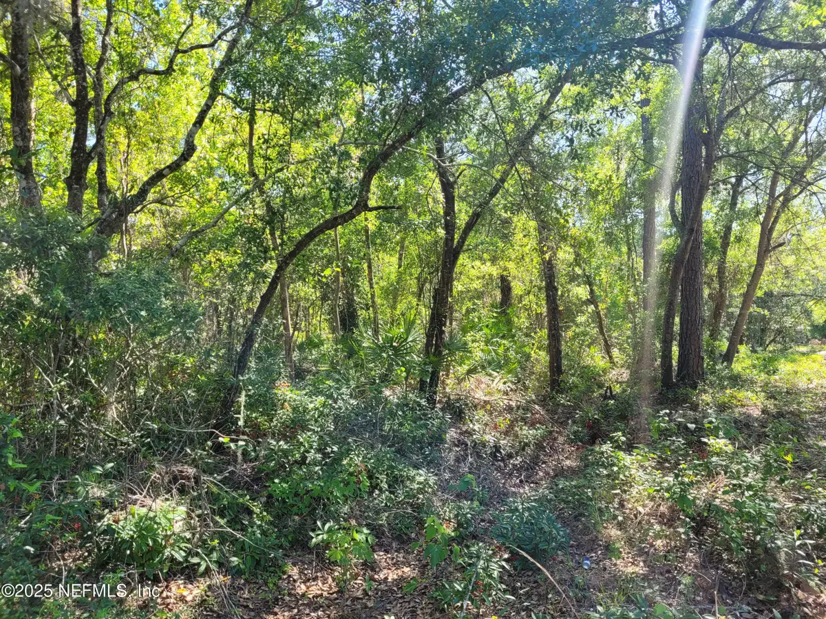 203 Southern Avenue, Crescent City, FL 32112 - Image #1