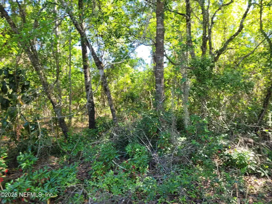 203 Southern Avenue, Crescent City, FL 32112 - Image #2