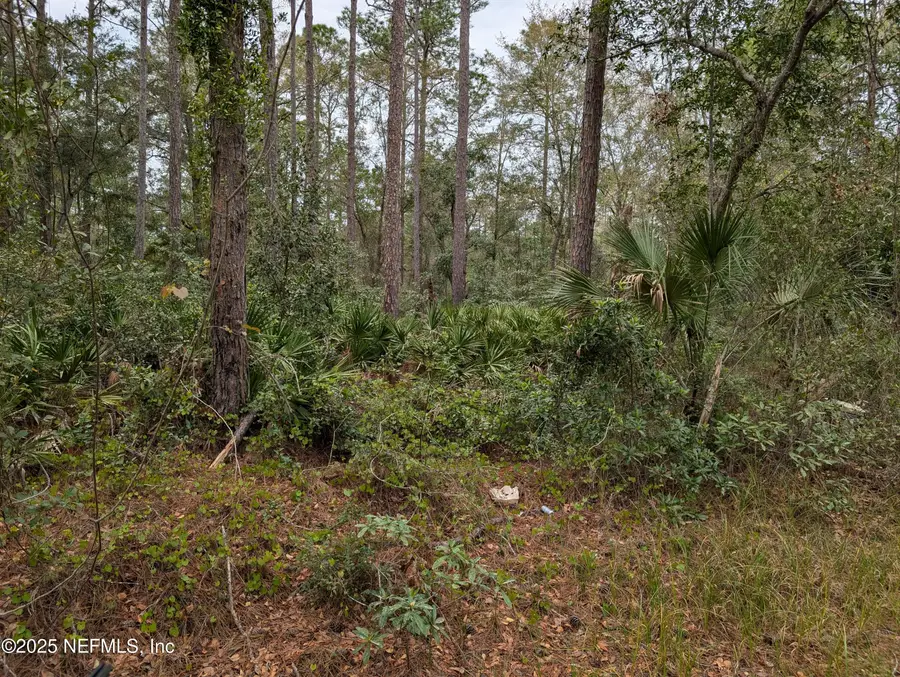 111 Cypress Drive, Georgetown, FL 32139 - Image #2