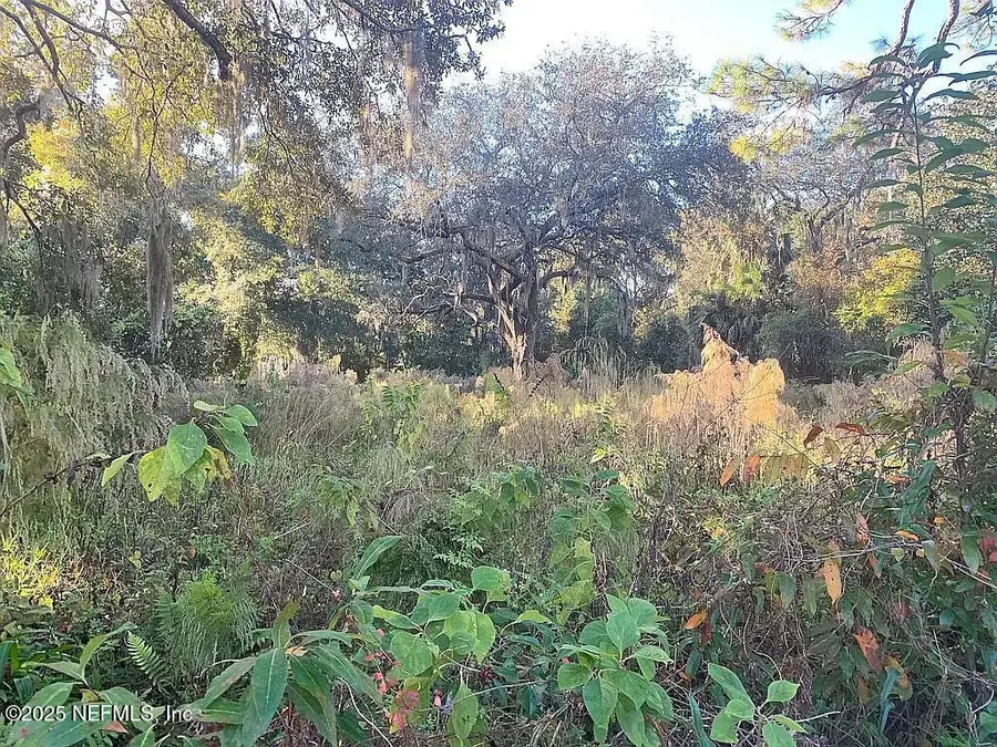 1476 Fruit Cove N Road, Jacksonville, FL 32259 - Image #2