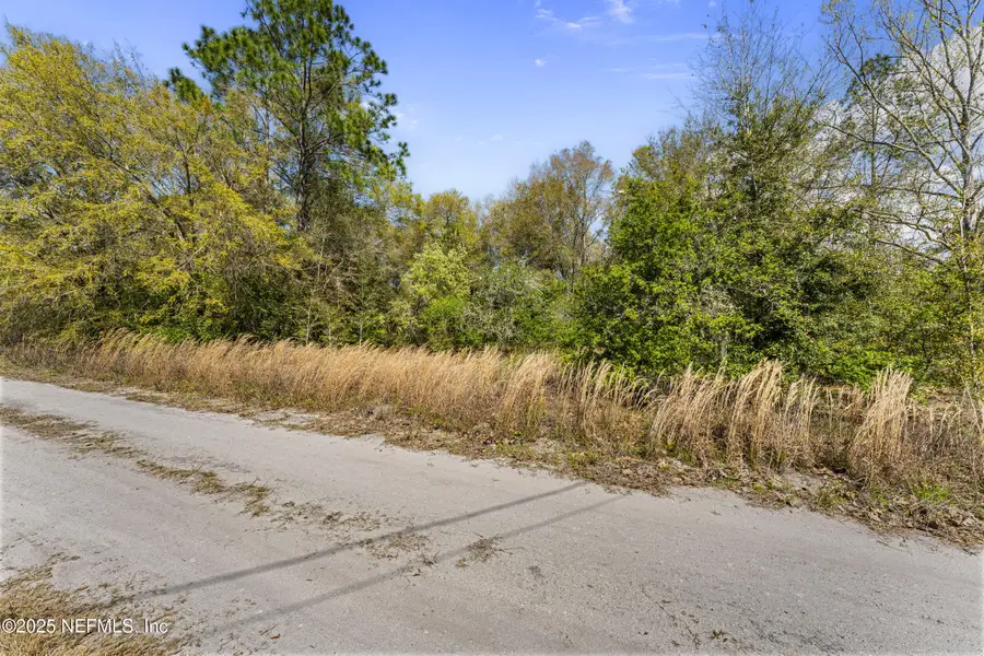 124 Ambrose Avenue, Satsuma, FL 32189 - Image #3