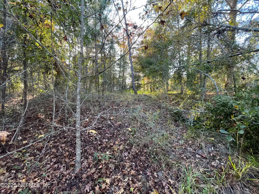 248 Tarpon Boulevard, Palatka, FL 32177 - #2