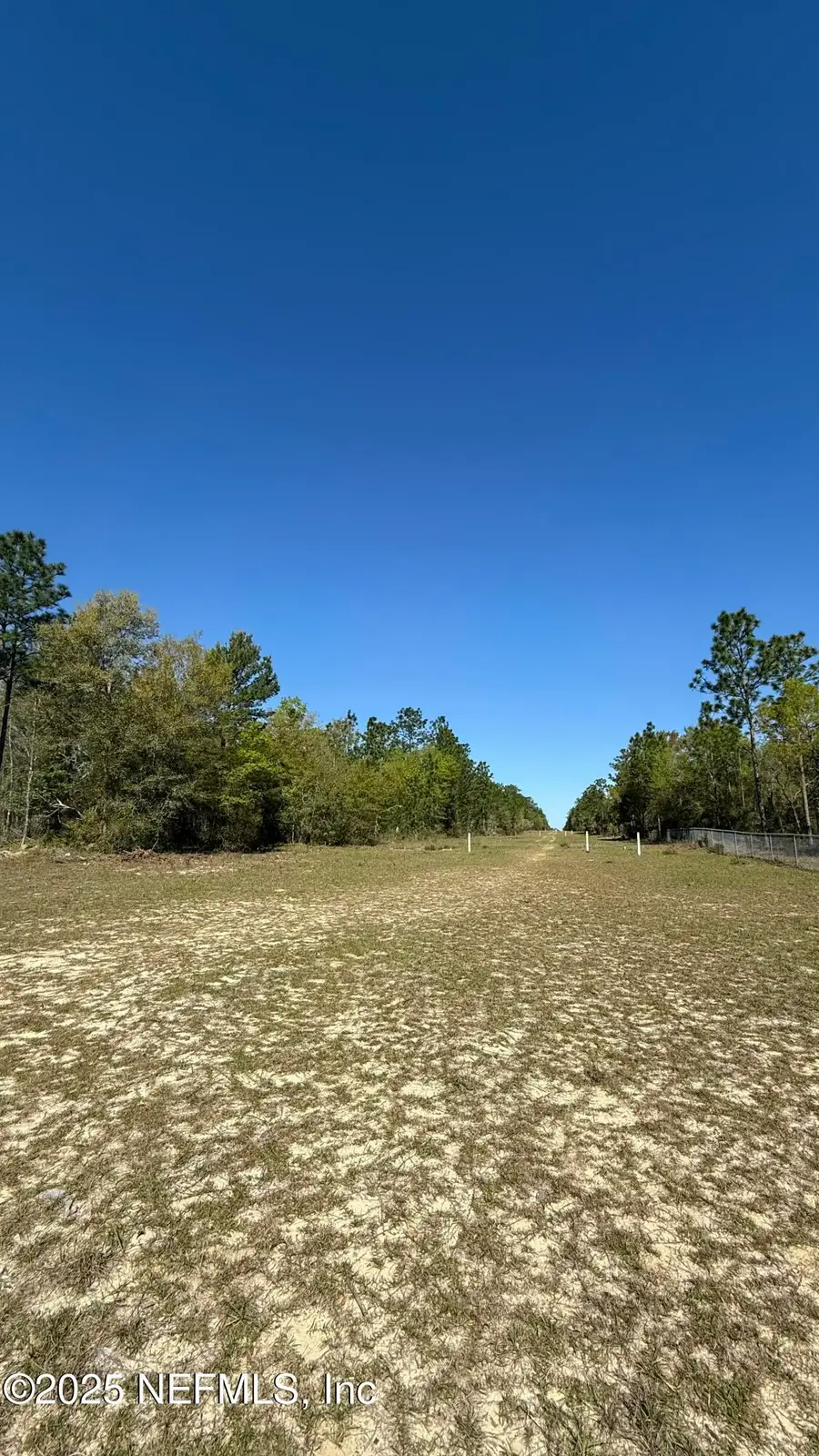 0 Mulberry Street, Interlachen, FL 32148 - Image #3