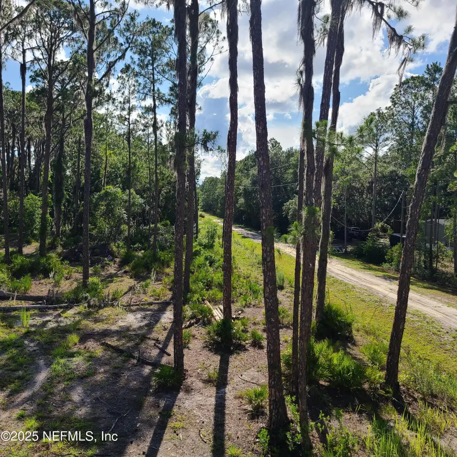 212 Atkins Road, Georgetown, FL 32139 - Image #3