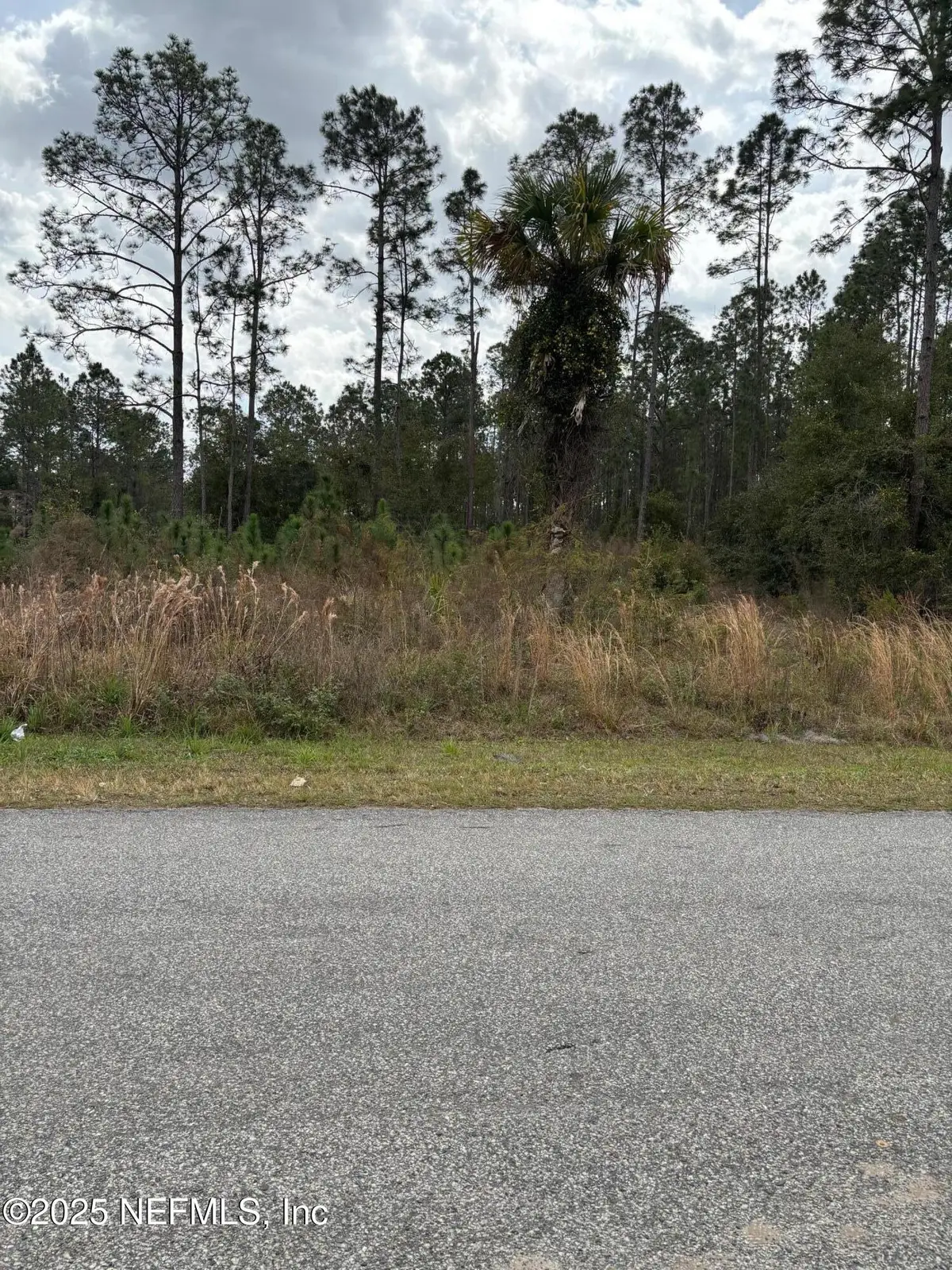 473 Live Oak Loop, Crescent City, FL 32112 - Image #1