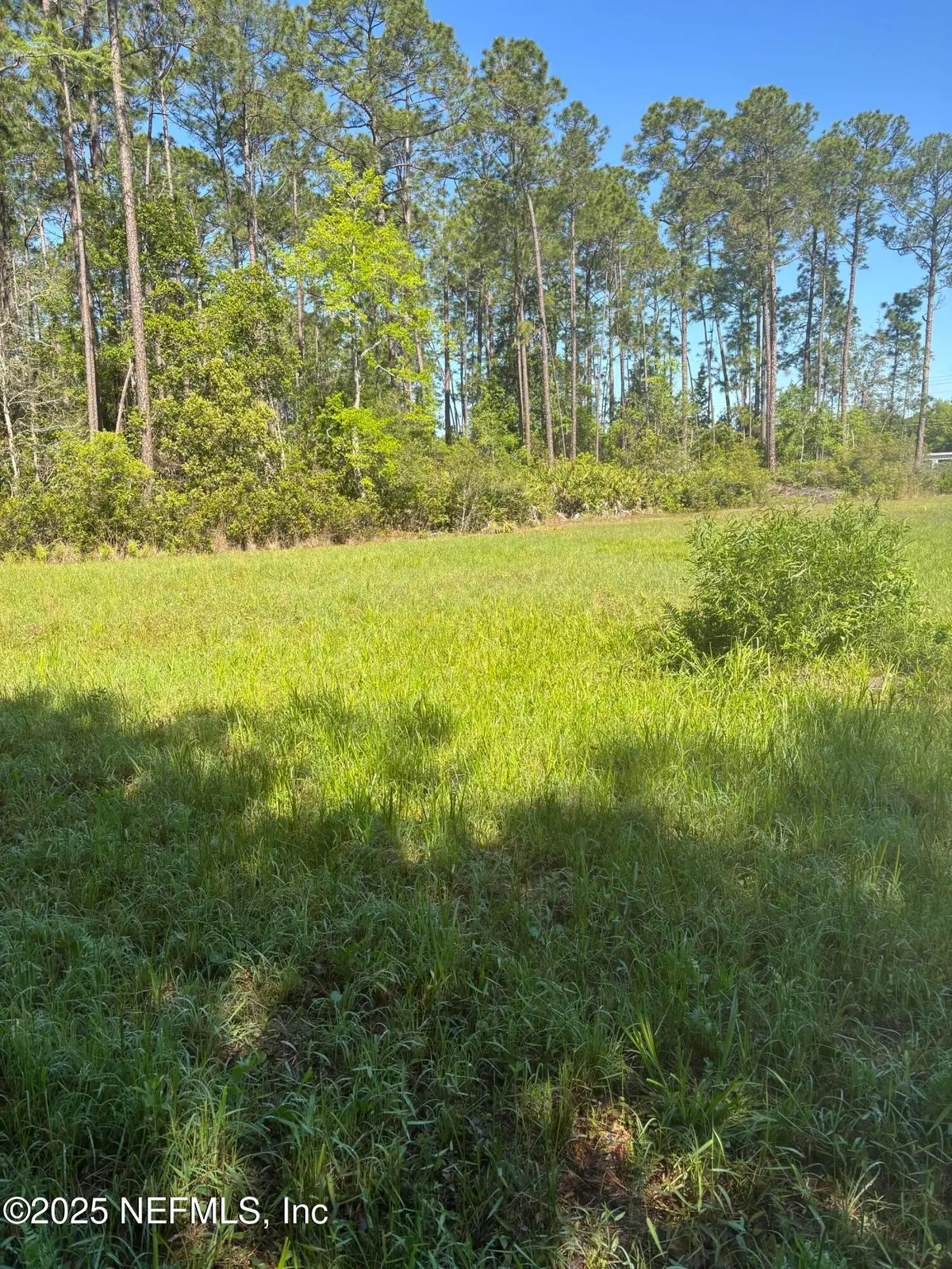 4399 County Road 218, Middleburg, FL 32068 - Image #1
