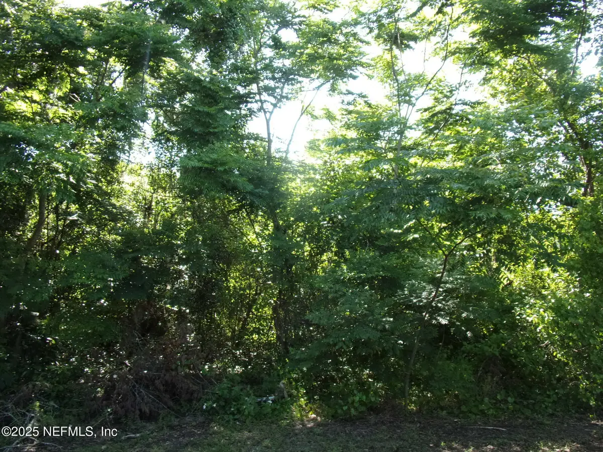 000 Edgemoor Trail, Palatka, FL 32177 - Image #1