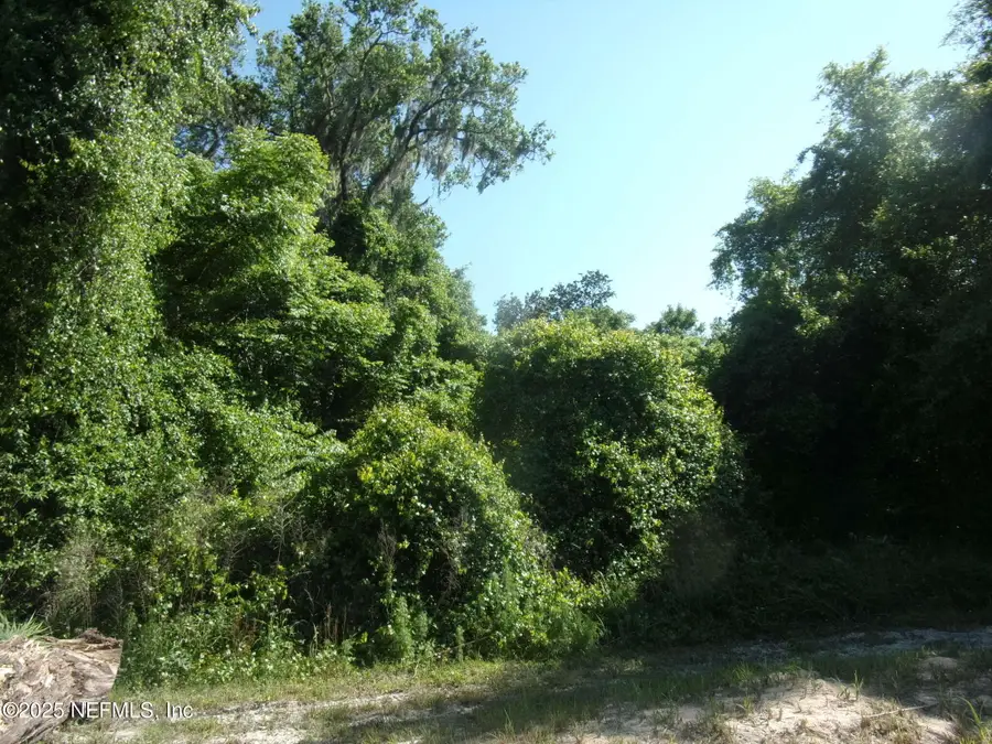 000 Edgemoor Trail, Palatka, FL 32177 - Image #2