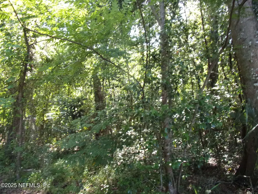 000 Edgemoor Trail, Palatka, FL 32177 - Image #3