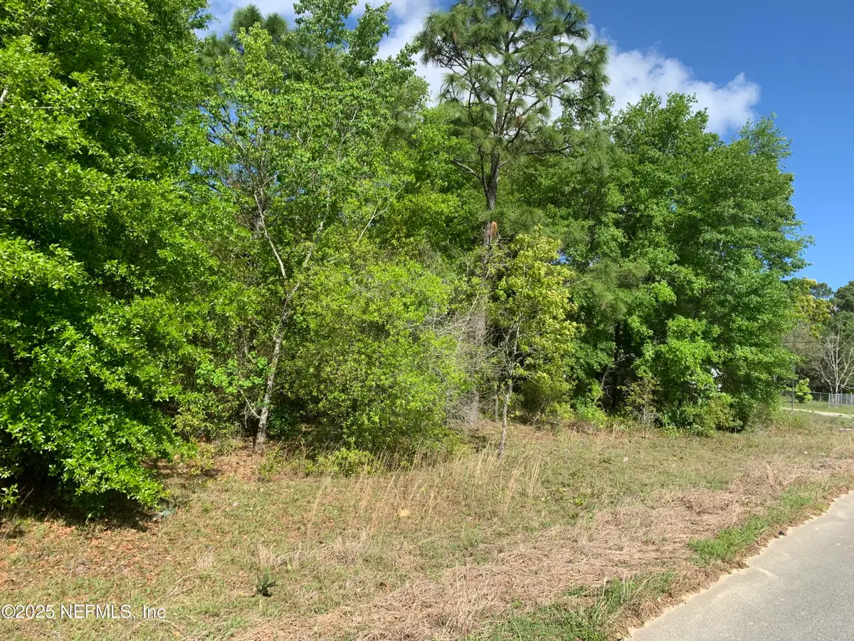 000 Istanbul Street, Interlachen, FL 32148 - Image #1