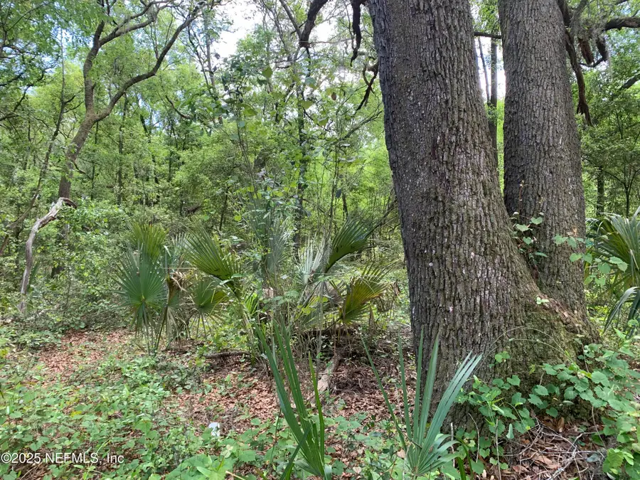 157 Oak Circle, Interlachen, FL 32148 - #3