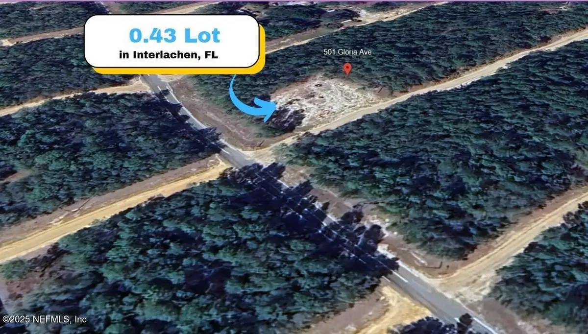 501 Gloria Avenue, Interlachen, FL 32148 - #1