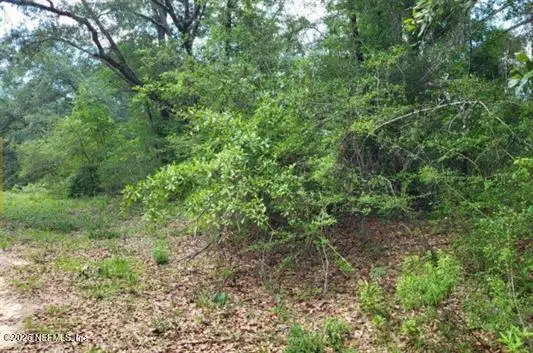 TBD Persimmon Lane, Marianna, FL 32446 - Image #3