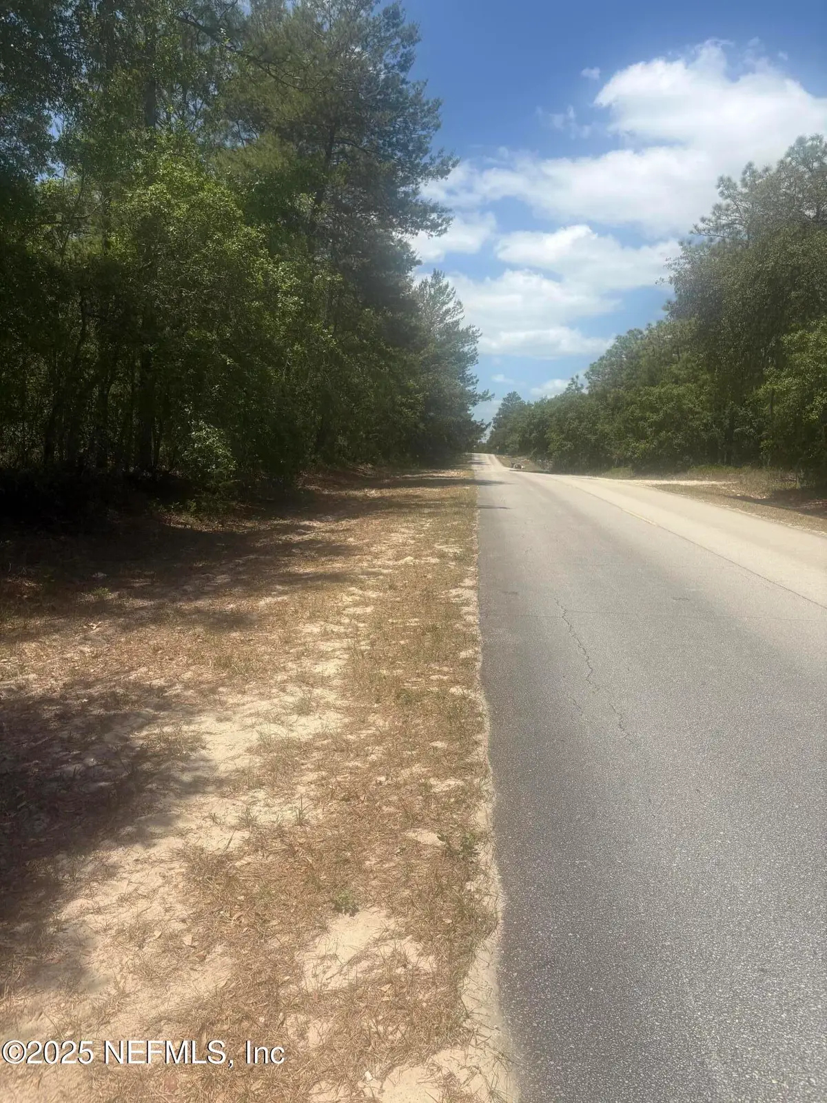 303 Hickory Nut Trail Trail, Satsuma, FL 32189 - Image #1