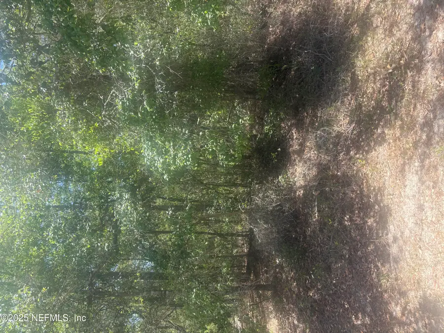 303 Hickory Nut Trail Trail, Satsuma, FL 32189 - Image #3