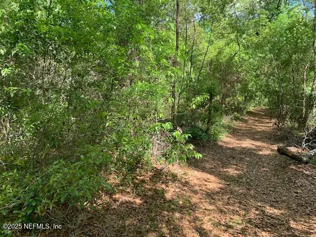 000 Dorothy Street, Interlachen, FL 32148 - Image #2