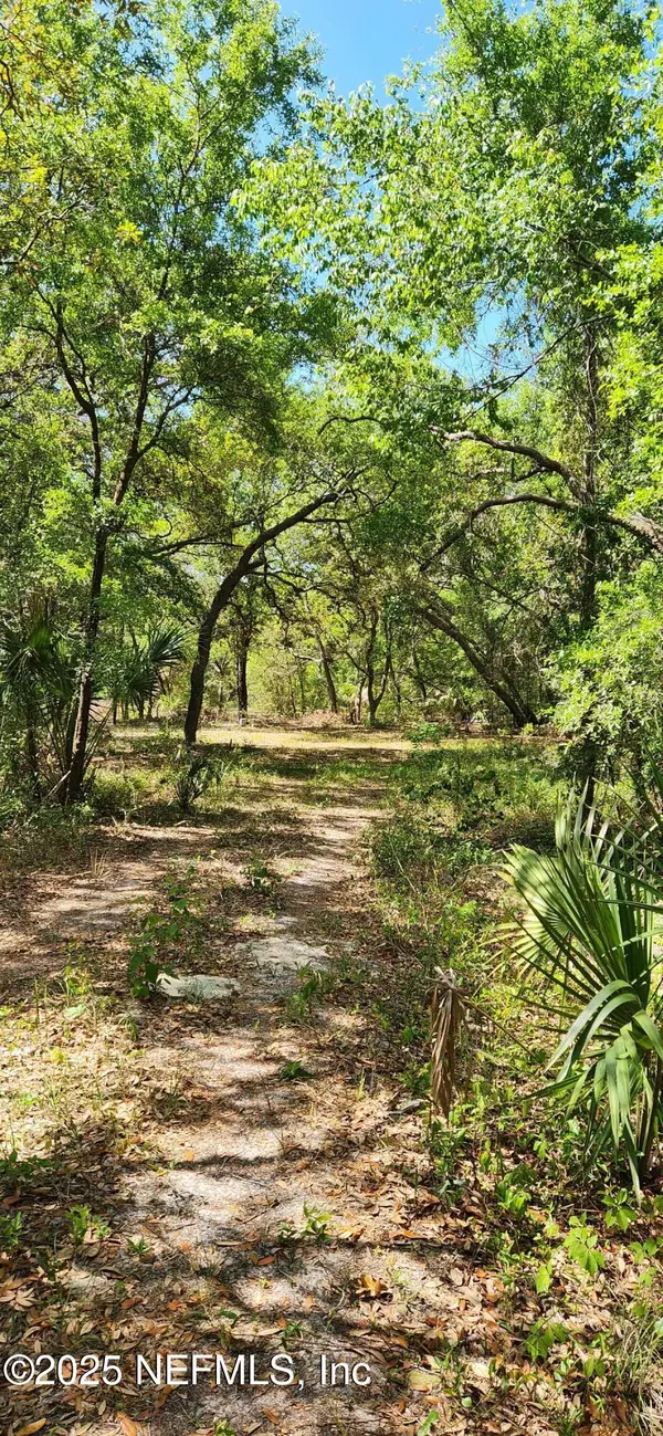 209 Mangrove Street, Pomona Park, FL 32181