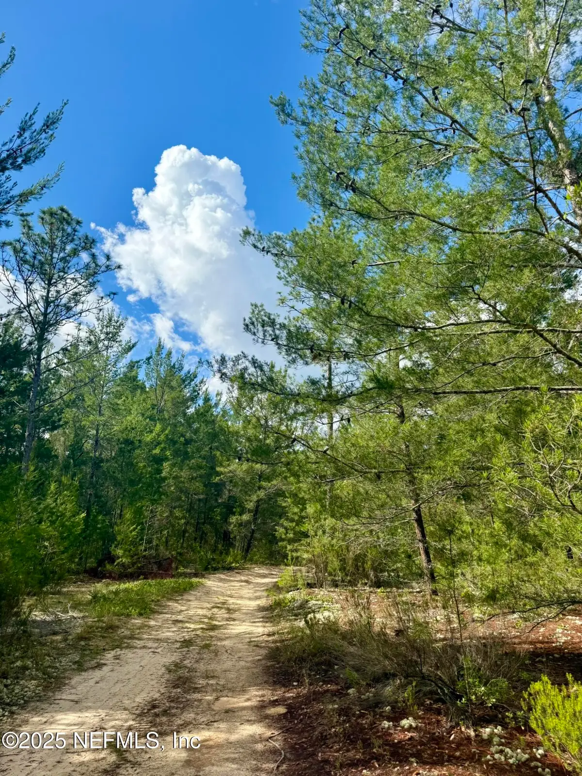 269 Alabama Drive, Hawthorne, FL 32640 - Image #1