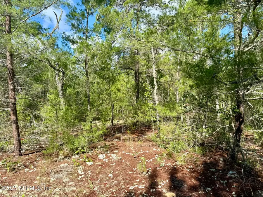 269 Alabama Drive, Hawthorne, FL 32640 - Image #3