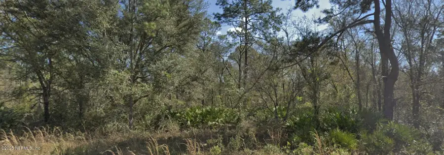 10640 Weatherby Avenue, Hastings, FL 32145 - #2