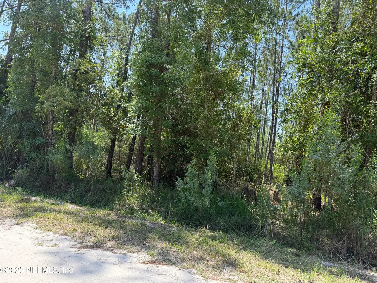107 White Pine Lane, Georgetown, FL 32139 - Image #1