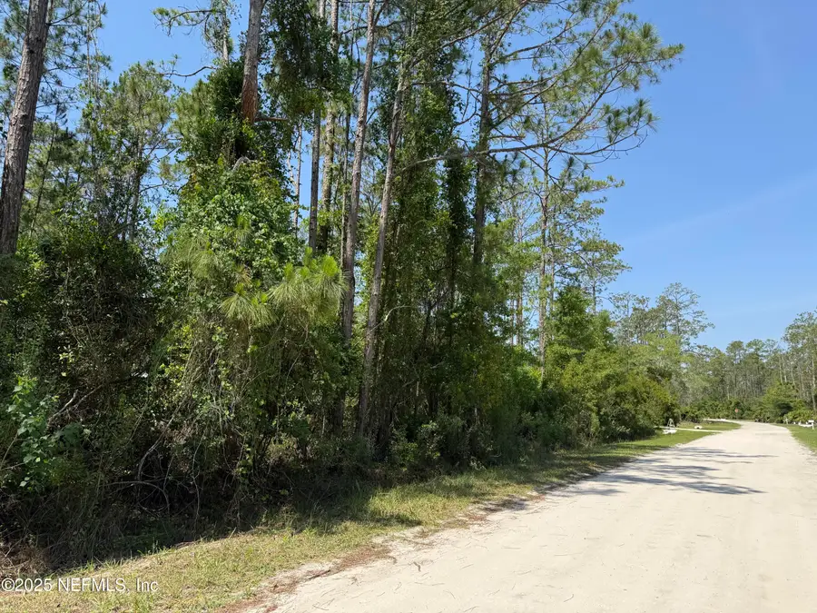 107 White Pine Lane, Georgetown, FL 32139 - Image #2