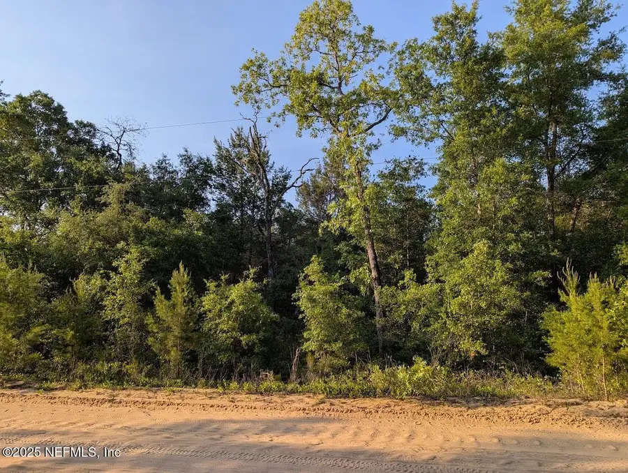 0440-0090 Adrian Avenue, Interlachen, FL 32148 - Image #2