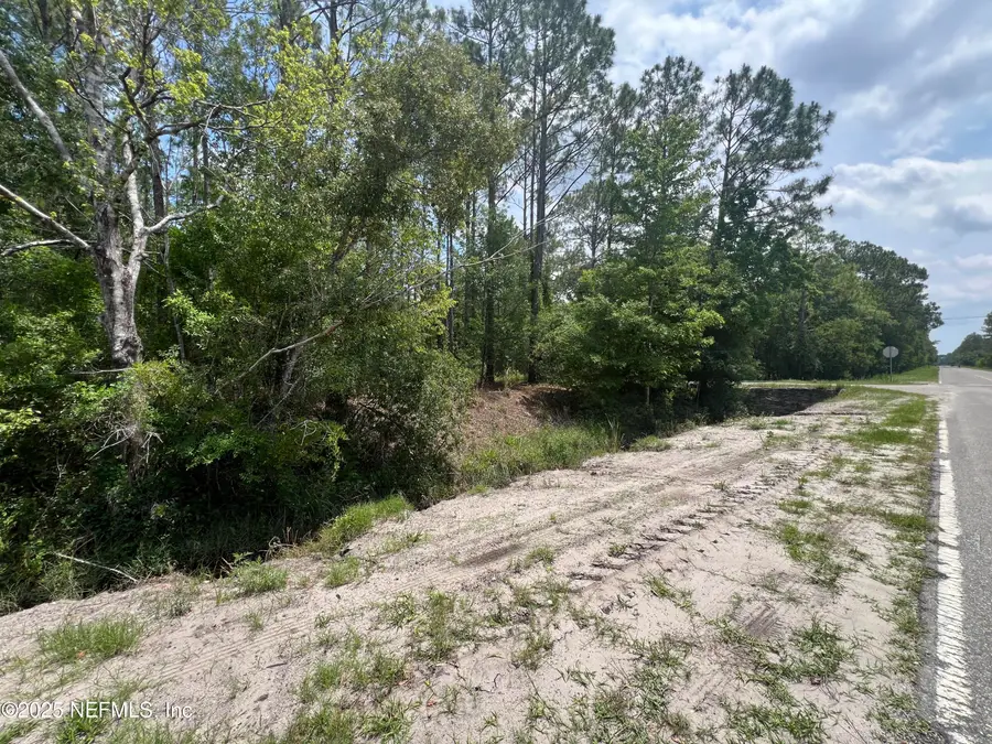 4300 Olga Street, Hastings, FL 32145 - Image #3