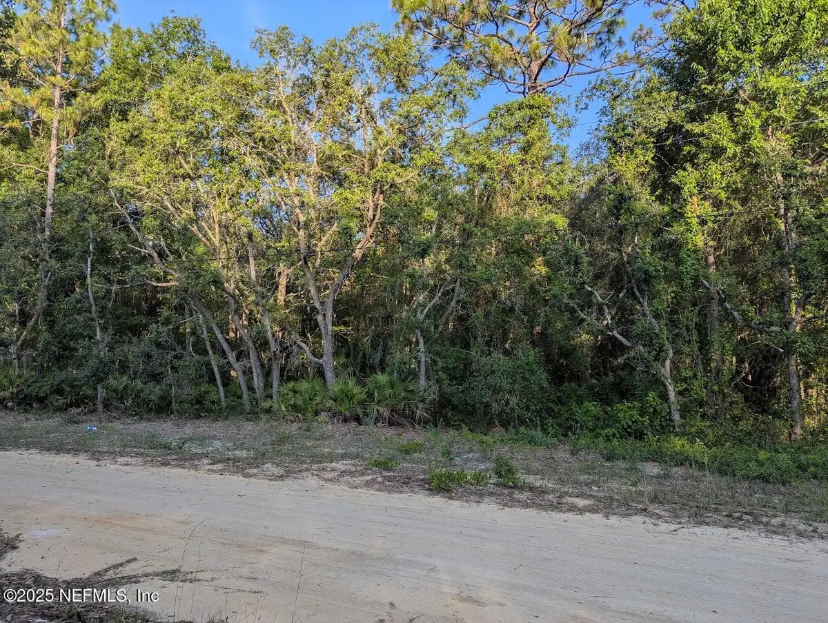 103 George Way, Interlachen, FL 32148 - Image #1