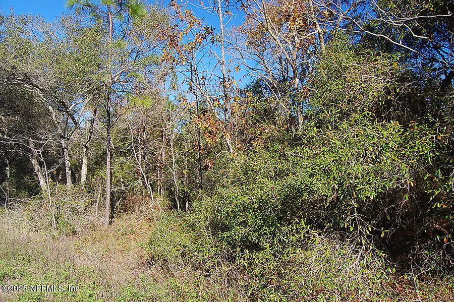 5746 N W Overlook Dr Drive, Keystone Heights, FL 32656 - #3