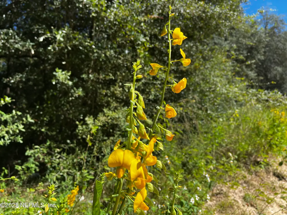 6076 Indian Trail Trail, Keystone Heights, FL 32656 - #1