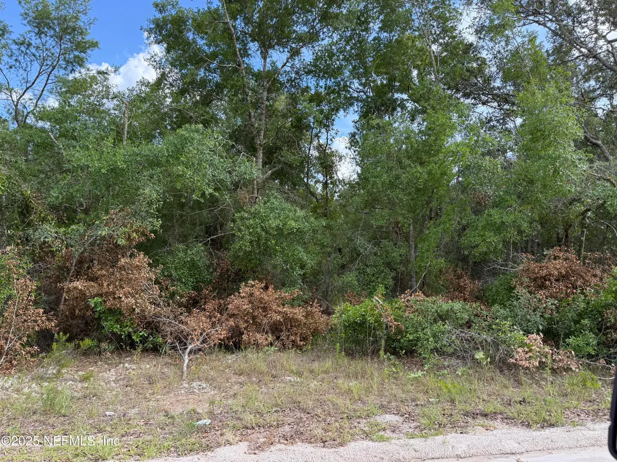 331 4th Way, Interlachen, FL 32148 - #1