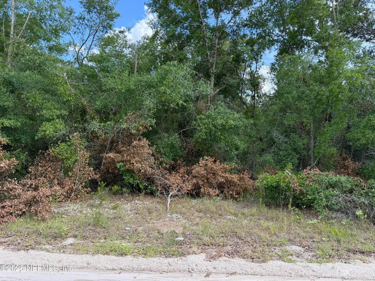 329 4th Way, Interlachen, FL 32148 - #1